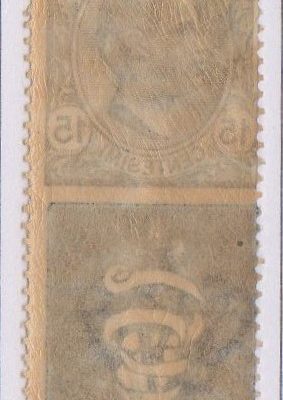Regno 1924/25 - PUBBLICITARI - 15 cent BITTER CAMPARI, catalogo n.1, gomma integra.