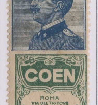 Regno 1924/25 - PUBBLICITARI - Catalogo Sassone n.5 linguellato - 25 cent COEN.