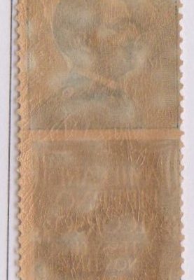 Regno 1924/25 - PUBBLICITARI - 25 cent AMILCARE PIPERNO, catalogo n.6, gomma integra. Perizia Diena
