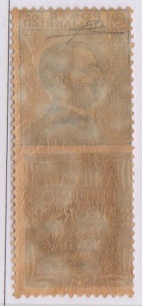 Regno 1924/25 - PUBBLICITARI - 25 cent AMILCARE PIPERNO, catalogo n.6, gomma integra. Perizia Diena