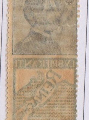 Regno 1924/25 - PUBBLICITARI - 25 cent LUBRIFICANTI REINACH, catalogo n.7, gomma integra.