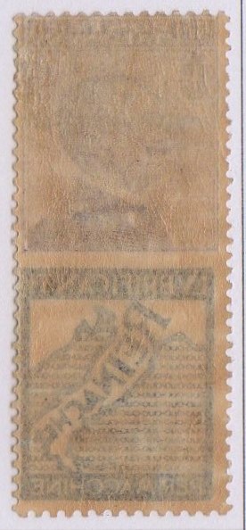 1924/25 - PUBBLICITARI - 50 cent LUBRIFICANTI REINACH, Catalogo Sassone n.14 , gomma integra.