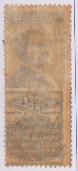 Regno 1924/25 - PUBBLICITARI - 50 cent SIERO CASALI, Catalogo Sassone n.15 , LINGUELLATO