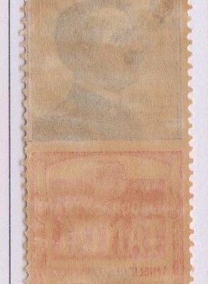 Regno 1924/25 - PUBBLICITARI - 50 cent TANTAL, Catalogo Sassone n.18 , LINGUELLATO
