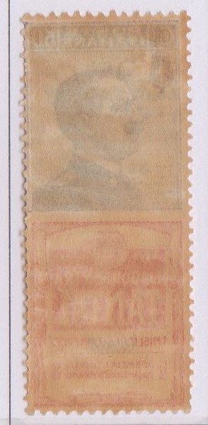 Regno 1924/25 - PUBBLICITARI - 50 cent TANTAL, Catalogo Sassone n.18 , LINGUELLATO