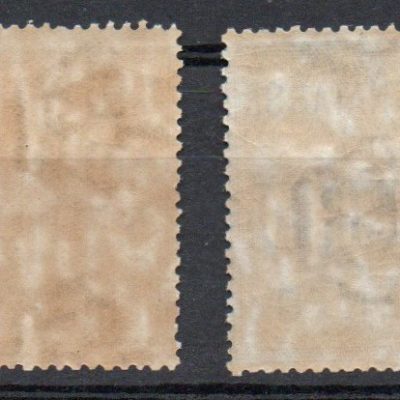 Regno 1903 segnatasse 50 e 100 lire n 31-32 gomma integra
