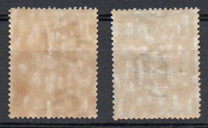 Regno 1903 segnatasse 50 e 100 lire n 31-32 gomma integra