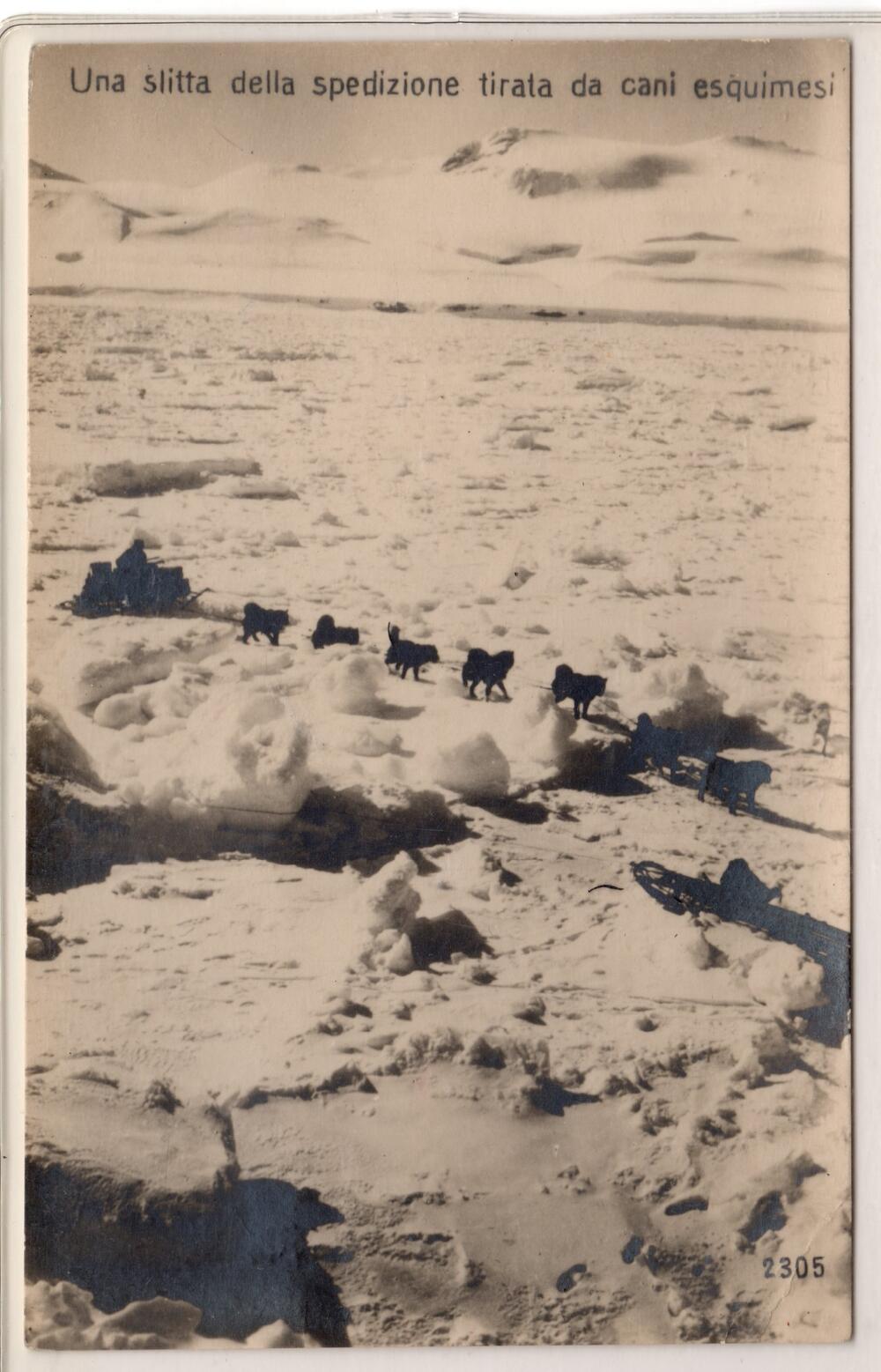 DIRIGIBILE ITALIA  3 rare "FOTOCARTOLINE" della spedizione di Nobile non viaggiate.